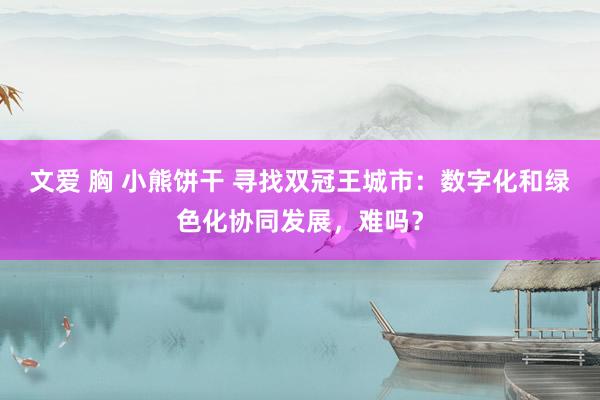 文爱 胸 小熊饼干 寻找双冠王城市：数字化和绿色化协同发展，难吗？