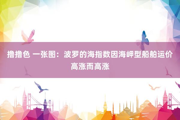 撸撸色 一张图：波罗的海指数因海岬型船舶运价高涨而高涨