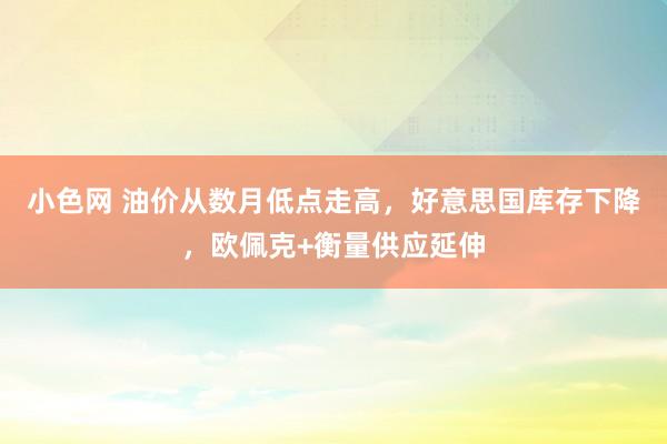 小色网 油价从数月低点走高，好意思国库存下降，欧佩克+衡量供应延伸