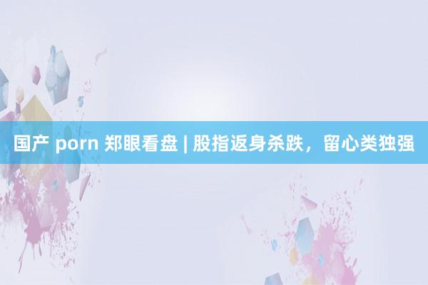 国产 porn 郑眼看盘 | 股指返身杀跌，留心类独强