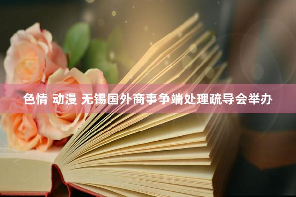 色情 动漫 无锡国外商事争端处理疏导会举办
