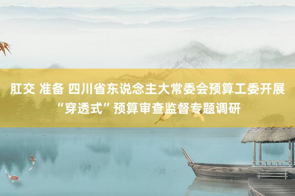 肛交 准备 四川省东说念主大常委会预算工委开展“穿透式”预算审查监督专题调研