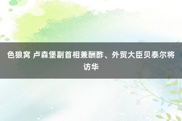 色狼窝 卢森堡副首相兼酬酢、外贸大臣贝泰尔将访华