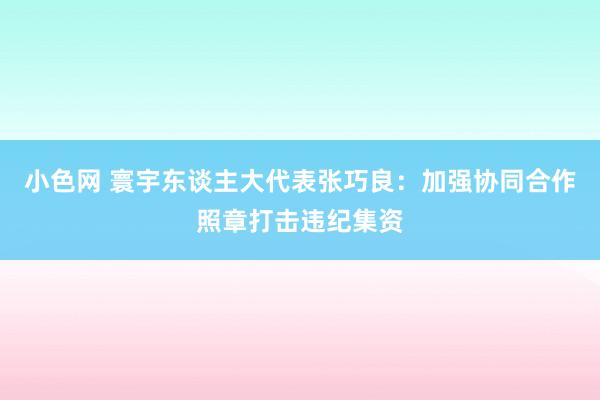 小色网 寰宇东谈主大代表张巧良：加强协同合作照章打击违纪集资
