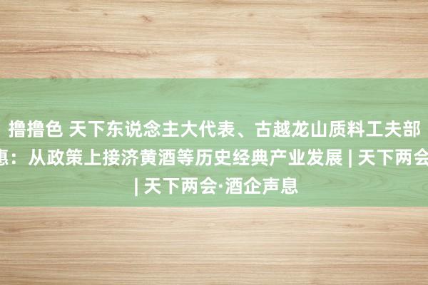 撸撸色 天下东说念主大代表、古越龙山质料工夫部部长李贤惠：从政策上接济黄酒等历史经典产业发展 | 天下两会·酒企声息