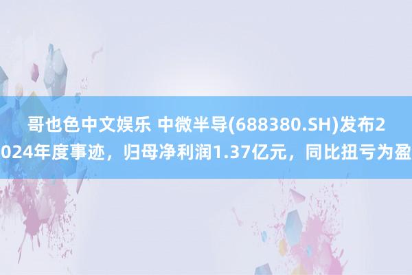 哥也色中文娱乐 中微半导(688380.SH)发布2024年度事迹，归母净利润1.37亿元，同比扭亏为盈