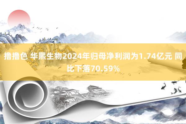 撸撸色 华熙生物2024年归母净利润为1.74亿元 同比下落70.59%