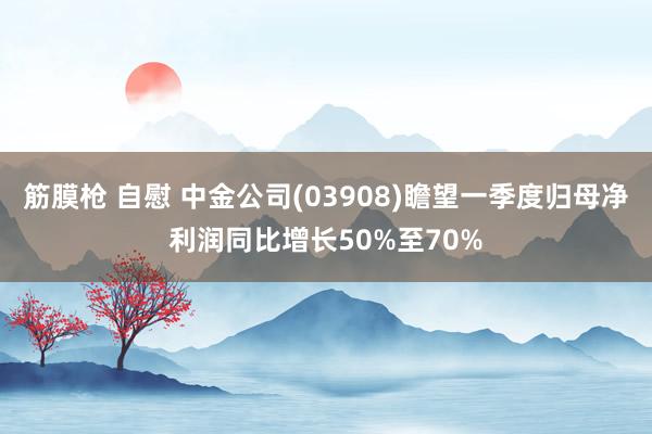 筋膜枪 自慰 中金公司(03908)瞻望一季度归母净利润同比增长50%至70%